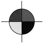 Circle Registration